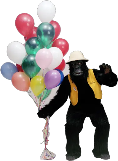  Balloon Magic Getaballoon Gorilla Gram Gorilla With A Balloon Png Up Balloons Png