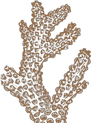  Brown Coral Png Svg Clip Art For Web Download Clip Art Coral Vector Png Xenoblade Chronicles Story Memo Icon