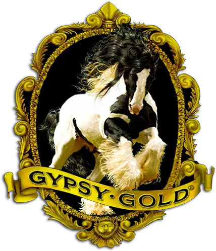  Gypsy Vanner Horses For Sale U2013 Gold Americau0027s Horse Supplies Png Horse Foot Symbol Icon