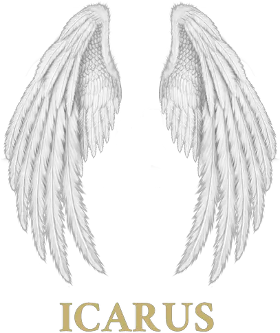  Products U2013 Icarus Solid Png Angel Icon Tumblr