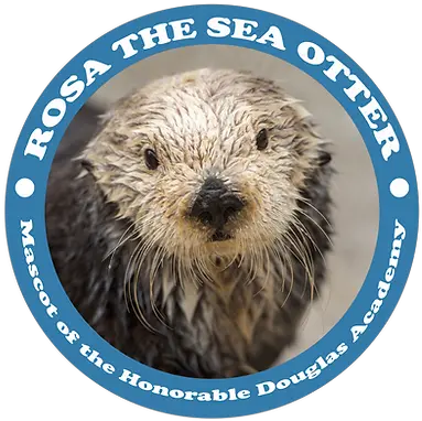  Home Dougdoug Dougdoug Rosa Png Sea Otter Icon