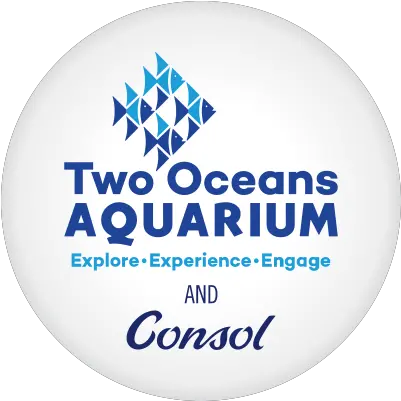  Two Oceans Aquarium Consol Language Png Ocean Icon