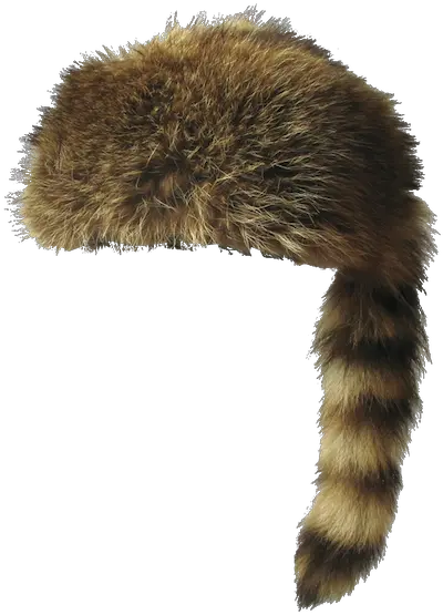  Download Hd Coon Hat Raccoon Hat Png Transparent Png Image Fur Hat Png Transparent Raccoon Transparent Background