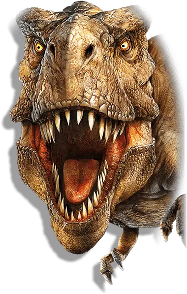  T Rex Head Png Transparent Headpng Images Pluspng Dinosaur Face Medical Mask Dinosaur Skull Png