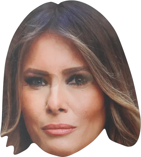  Download Donald Trump Hair Png Transparent Png Png Melania Trump Png Trump Png