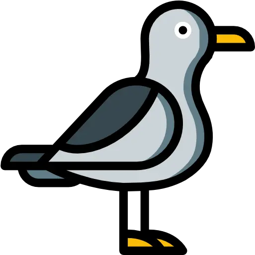  Seagull Icon Png Seagull Icon