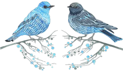  Vintage Bird Sketch Transparent Png Blue