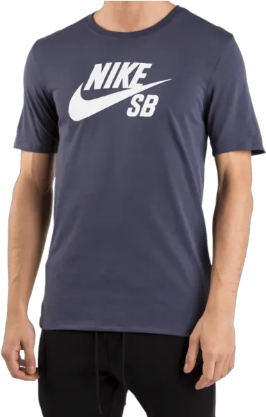  Download Nike Sb Logo T Shirt Shirts Shrimp Png Tee futura Icon