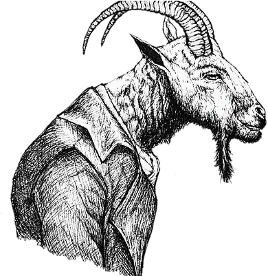  The Pushy Goat Massage Skincare Home Page Sketch Png Goat Transparent