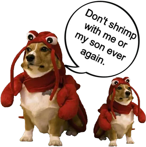  Shrimp Dog In Lobster Costume Png Alpha Icon Dog Clothes