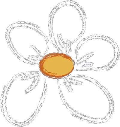  Burgundy Dot Png White Daisy Png