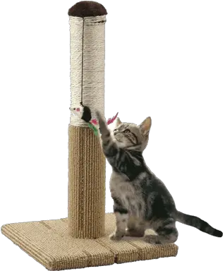  Cat Scratching Post Conbini Japan Your Japanese Online Store Cat Scratch Tower Png Scratch Cat Png