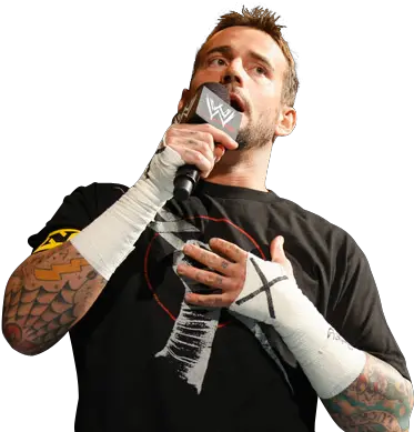  Wwe 10 Storylines Weu0027d Love To See For The Rock Bleacher Cm Punk On Mic Nexus Png Dolph Ziggler Png