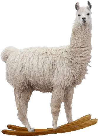  Little Llama Llama Gif No Background Png Llama Transparent