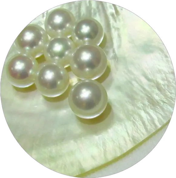  Naturally Pearls Pearl Png Pearls Png