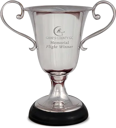  Advantage Cup Trophy Png Cup Png