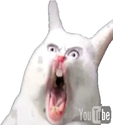  Screaming Cat Png 4 Image Rabbit Screaming Screaming Png