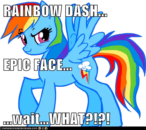  Rainbow Dash Epic Face Waitwhat Memebase Mlp Fim Rainbow Dash Png Epic Face Transparent