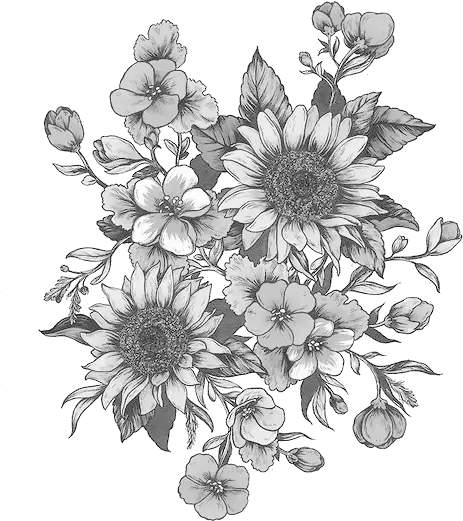  White Flowers Png Clip Free Library Black And White Sunflower Drawing Black And White Flower Png