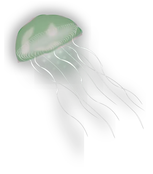  Jellyfish Transparent Cartoon Jellyfish Png Transparent Jellyfish