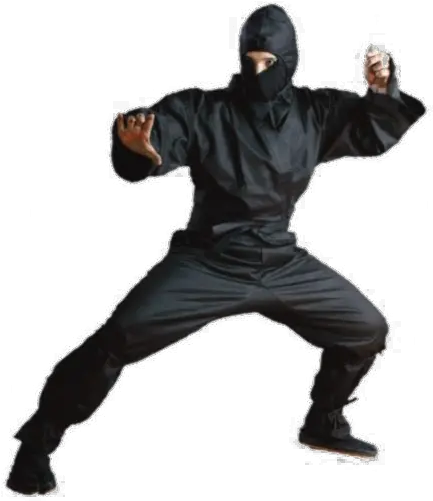  Ninja Transparent Background Png Ninja Uniform Ninja Png