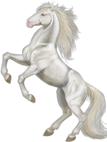  V Stallion Png White Horse Png