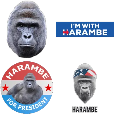  Harambe Transparent Png Images Harambe Png Harambe Transparent