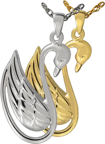  Swan Illustration Png Ashes Png