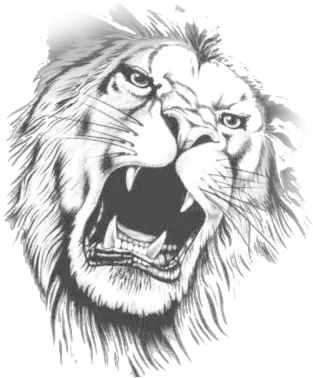  Lion Roar By Abdelrahmanman Inktale Png