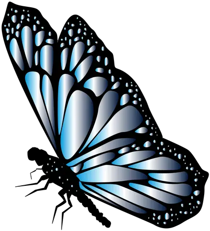  Transparent Png Svg Vector Side Monarch Butterfly Outline Blue Butterflies Png