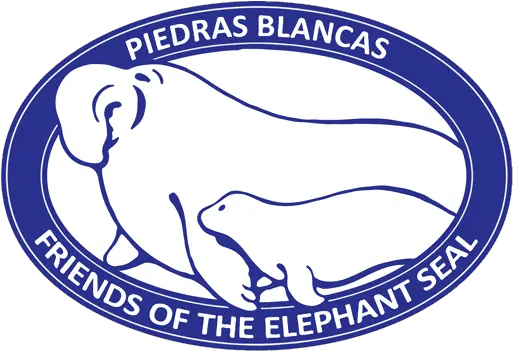  Friends Of The Elephant Seal Piedras Blancas Northern Big Png Find My Friends Icon