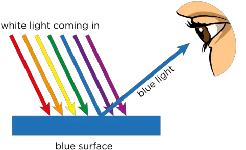  Opaque And Transparent Substances Visible Light Siyavula Absorption Ray Diagram Png Light Transparent