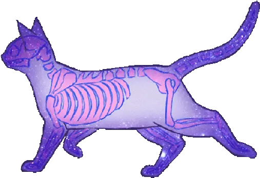  Tag For Animal Jam Transparent Image Oml Papyrus Gif Creepy Cat Transparent Gif Png Transparent Animal Jam