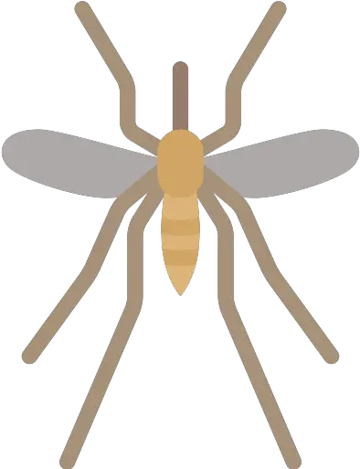  Mosquito Png Icon Bug Mosquito Png