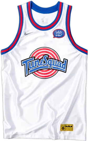  Nike Lebron X Tune Squad Dna Jersey Tune Squad Png Lebron Transparent