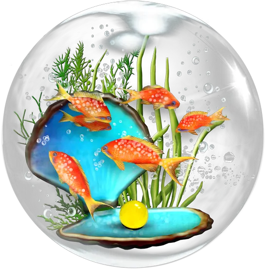  Fish Bowl Cartoon Images Free Download Cartoon Pearl Shell Png Fish Bowl Png