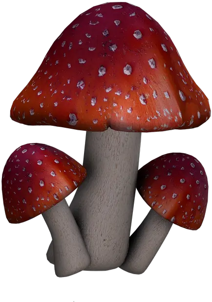  Download Fly Agaric Mushrooms Fantasy Red Mushroom Art Fantasy Png Mushrooms Png