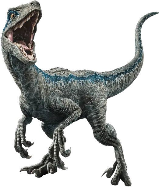  Jurassic Park Dinosaur Png Free Image Blue Raptor Dinosaur Png