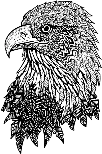  Bald Eagle Zentangle Duvet Cover Zentangle Eagle Png Bald Eagle Transparent Background