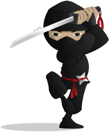  Ninja Png Png Ninja Png