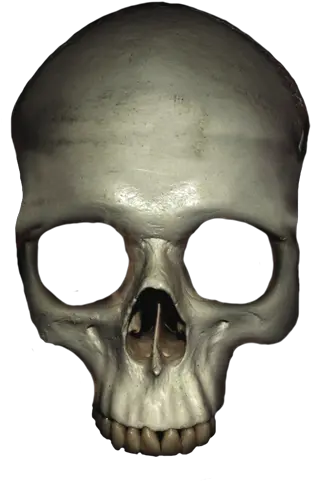  Skull Head Png Picture Skull Skull Head Png