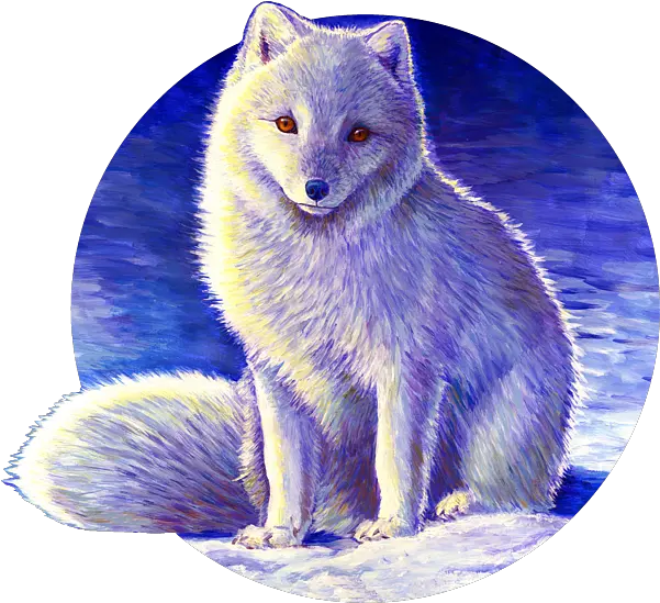  Peaceful Winter Arctic Fox Tank Top For Arctic Fox Art Png Arctic Fox Icon