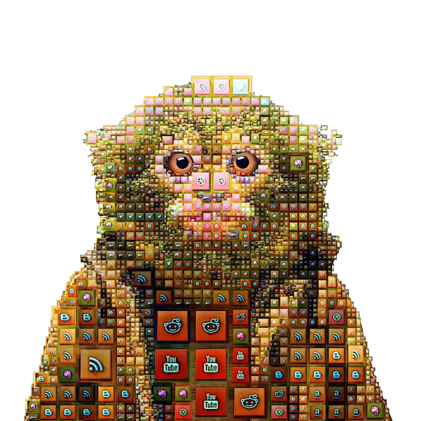  Social Animals Pygmy Marmoset Social Media Icon Mosaic Puzzle Pygmy Marmoset Png Social Networks Icon