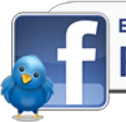  Cropped Birdparadisefacebookbuttonpng Exotic Bird Become A Fan On Facebook Facebook Button Png