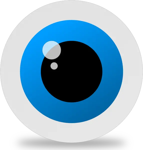  Taurine Dot Png Google Search Camera Icon