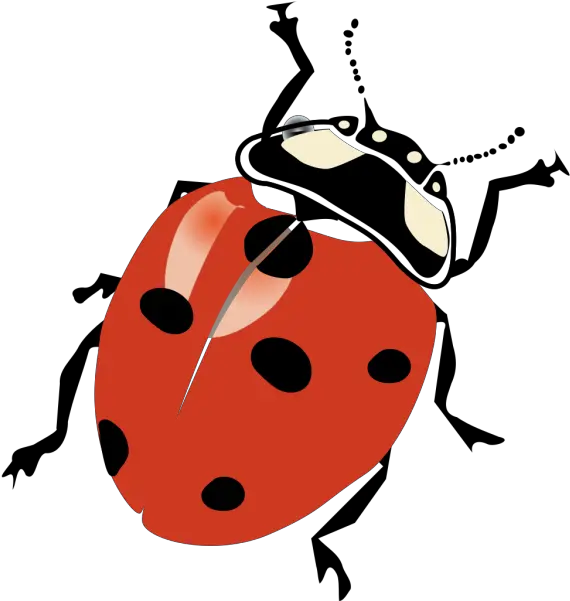  Blue Ladybug Png Svg Clip Art For Web Download Clip Art Realistic Beetle Clip Art Ladybug Icon