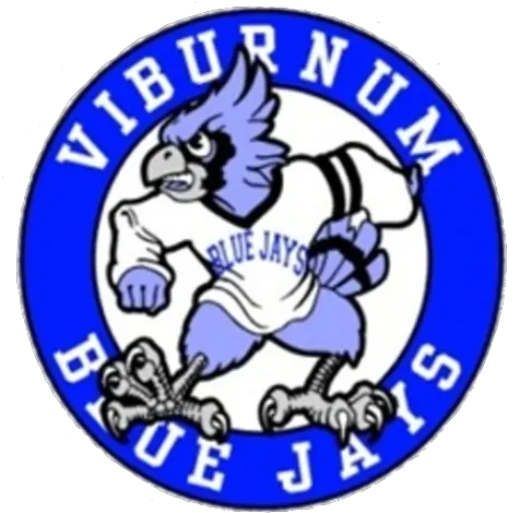  The Viburnum Blue Jays Delphos St Blue Jays Png Blue Jays Logo Png