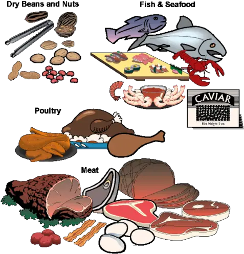  My Plate Vocabulary Flashcards Quizlet Meat Poultry Dry Beans Eggs Nuts Png New Myplate Icon