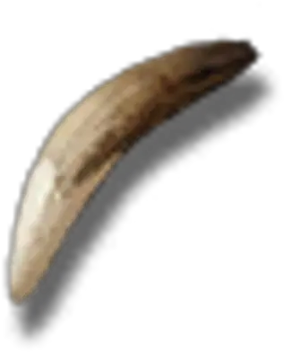  Elder Wolf Fang Official Pillars Of Eternity Wiki Solid Png Furry Wolf Icon