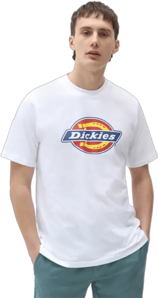  Sweden Sneakers Point Dickies Png Nike Tee futura Icon